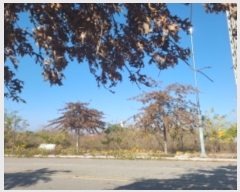  2022Ÿ��529539  �������