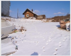  2022Ÿ��3726  ���ΰ��