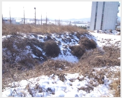  2022Ÿ��3726  ���ΰ��