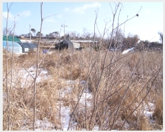  2022Ÿ��3726  ���ΰ��