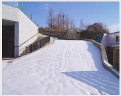  2022Ÿ��3726  ���ΰ��