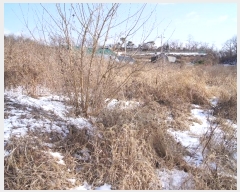  2022Ÿ��3726  ���ΰ��