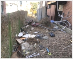  2022Ÿ��53442 ��� ���ν� ���ﱸ ���� 390-14      ����(����)���