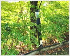  2022Ÿ59  ν  ź 679      ڽü