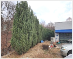  2022Ÿ��59474 ��� ������ �д籸 ��ž�� 48      �ٸ��ü�,�󰡰��