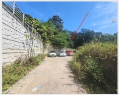  2022Ÿ��3686  �Ӿ߰��