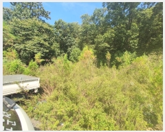  2022Ÿ��3686  �Ӿ߰��