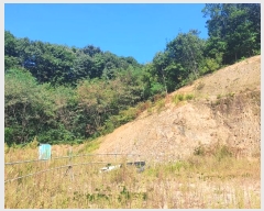  2022Ÿ��3686  �Ӿ߰��