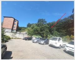  2022Ÿ��3686  �Ӿ߰��