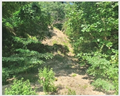  2022Ÿ��3686  �Ӿ߰��