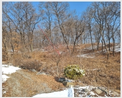  2022Ÿ38005  ֽ Ÿ õ 377-24      (Ӿ)