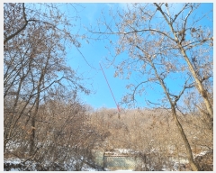  2022Ÿ38005  ֽ Ÿ õ 377-24      (Ӿ)