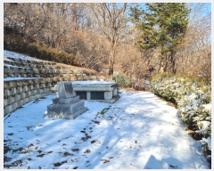  2022Ÿ38005  ֽ Ÿ õ 377-24      (Ӿ)