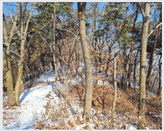  2022Ÿ38005  ֽ Ÿ õ 377-24      (Ӿ)