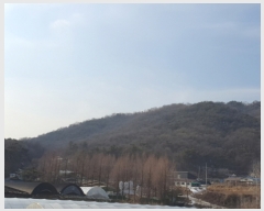  2022Ÿ38005  ֽ Ÿ õ 377-24      (Ӿ)