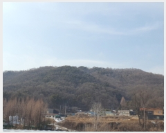  2022Ÿ38005  ֽ Ÿ õ 377-24      (Ӿ)