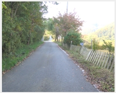  2022Ÿ��3689 ��� ���� ��õ�� �ź��� 234-49      ���ð��