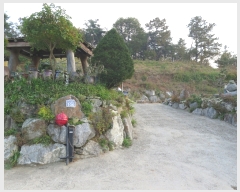  2022Ÿ��3689 ��� ���� ��õ�� �ź��� 234-49      ���ð��