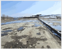  2022Ÿ��4552 ��� ���ֽ� ������ ������ 591-9      ������