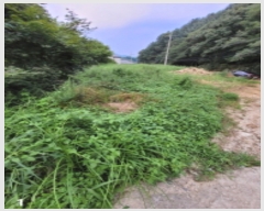  2022Ÿ��34638 ��� ���� �빮�� ���̸� 154-4      ����(��)���