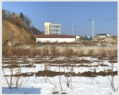  2022Ÿ��37095 ��� ���� �빮�� �빮��� 303-112 (�ְ��๰��3��)     ����,â�����