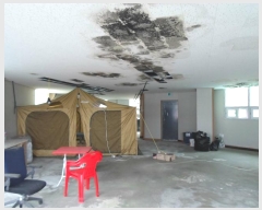  2022Ÿ2627  ý  ߸ 265-7      ٸü,󰡰