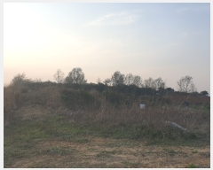  2022Ÿ��1044 ��� ���ý� ������ ������ 151-17      ����(��)���