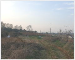  2022Ÿ��1044 ��� ���ý� ������ ������ 151-17      ����(��)���