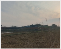  2022Ÿ��1044 ��� ���ý� ������ ������ 151-17      ����(��)���