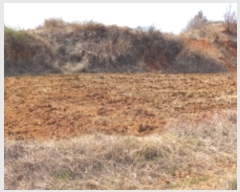  2022Ÿ��1044 ��� ���ý� ������ ������ 151-17      ����(��)���