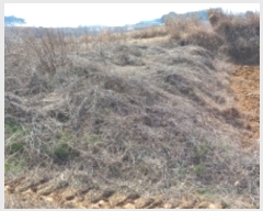  2022Ÿ��1044 ��� ���ý� ������ ������ 151-17      ����(��)���