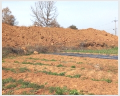  2022Ÿ��1044 ��� ���ý� ������ ������ 151-17      ����(��)���