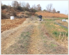  2022Ÿ��1044 ��� ���ý� ������ ������ 151-17      ����(��)���