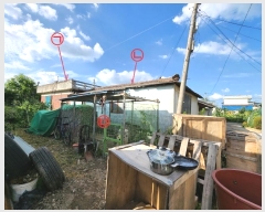  2022Ÿ��2528 ��� ���ý� ��õ�� 239-2       ����(����)���