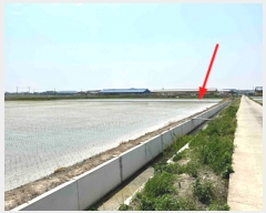  2022Ÿ1471  ý û  2-3      ()