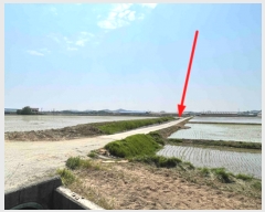  2022Ÿ1471  ý û  2-3      ()