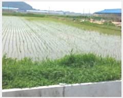  2022Ÿ1471  ý û  2-3      ()