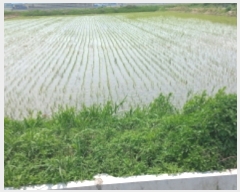  2022Ÿ1471  ý û  2-3      ()