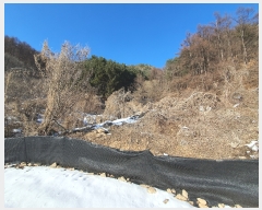  2022Ÿ��55230 ���� ��õ�� �ź��� ������ź�� 514-18      ����,â�����