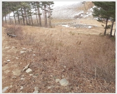  2022Ÿ30449   ջ ⸮ 1650      ()