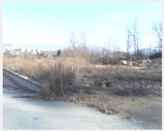  2022Ÿ500132  ֽ  ǵ 197-2      (1)