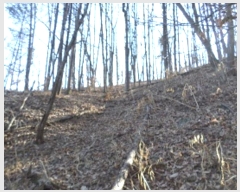  2022Ÿ��500132 ���� ���ֽ� ���ǵ� 1121-15       ����(�Ӿ�)���