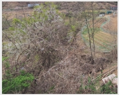  2022Ÿ��501180 ���� ���ֽ� ���ʸ� ���帮 910-5      ����(��)���