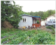  2022Ÿ��10953 ���� ��籺 ������ ���ฮ 141-1      ����(����)���