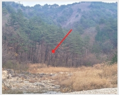  2022Ÿ1041  籺 ϸ  828      ()