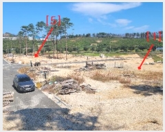  2022Ÿ11062  ʽ 絿 234-3       (Ӿ)