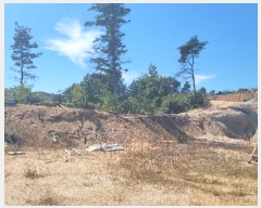  2022Ÿ11062  ʽ 絿 234-3       (Ӿ)