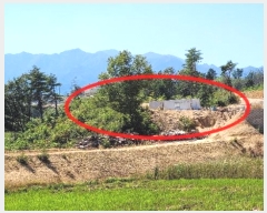  2022Ÿ11062  ʽ 絿 234-3       (Ӿ)