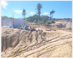  2022Ÿ11062  ʽ 絿 234-3       (Ӿ)