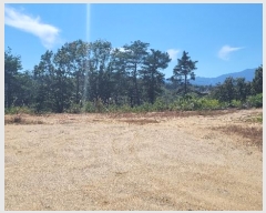  2022Ÿ11062  ʽ 絿 234-3       (Ӿ)